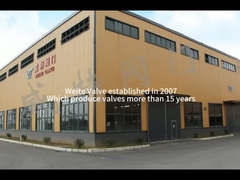 Weiteklep die een wetenschappelijke en technologic valvesmore dan 15years-Vervaardiging is